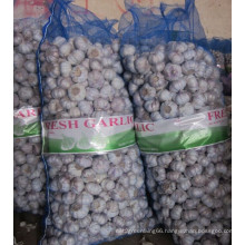 10kg Mesh Bag Normal White Garlic